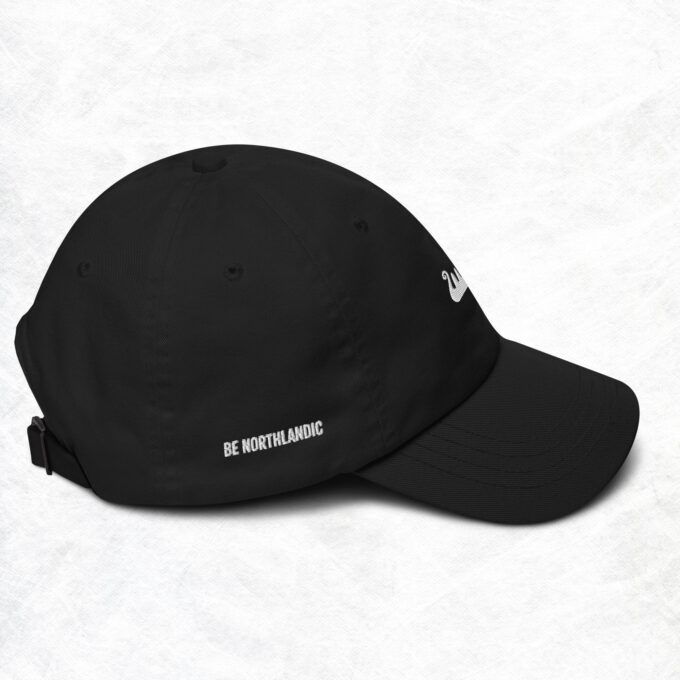 Be Northlandic Dad hat