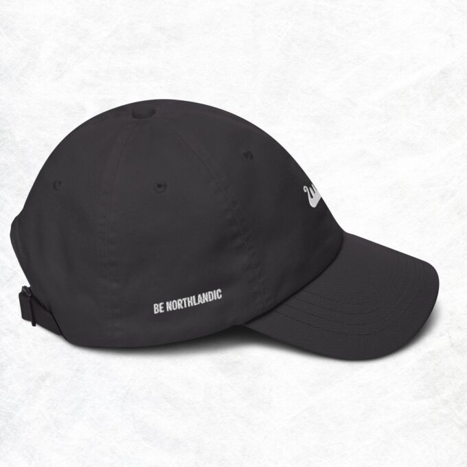 Be Northlandic Dad hat