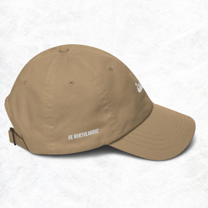 Be Northlandic Dad hat