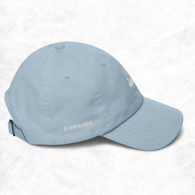 Be Northlandic Dad hat