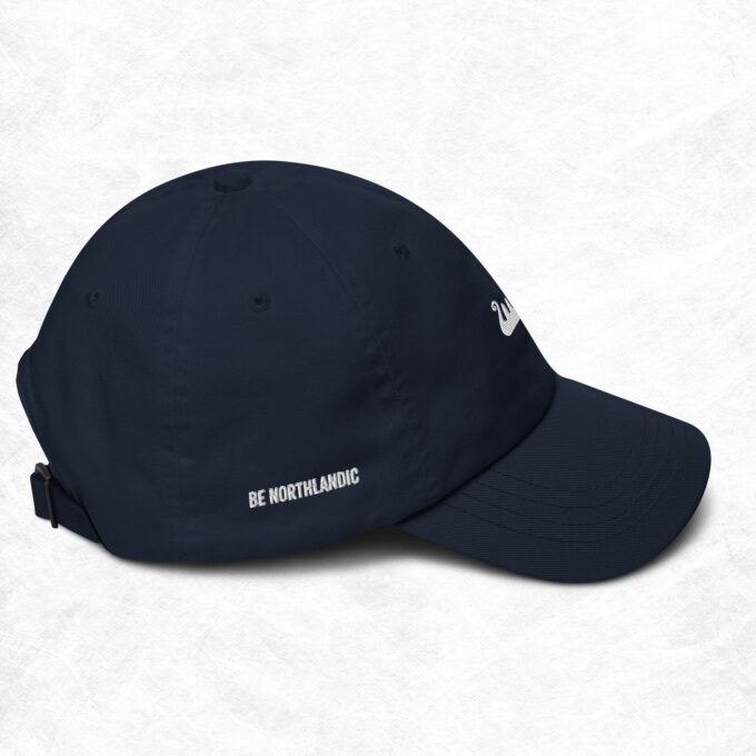 Be Northlandic Dad hat