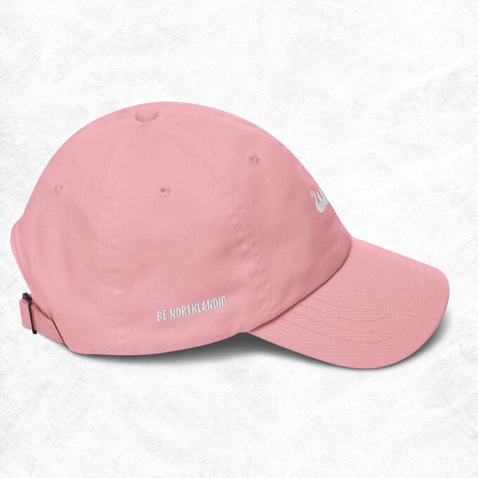 Be Northlandic Dad hat